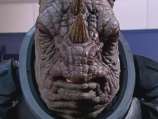 The Judoon