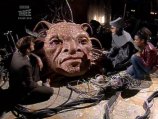 The Face of Boe