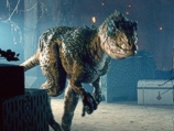 A Raptor Attacks