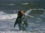 The Sea Devils