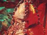 Terror of the Zygons