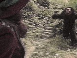 Romana is Attacked by a Taran beast